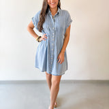 Waist Defining Pleated Dress - Light