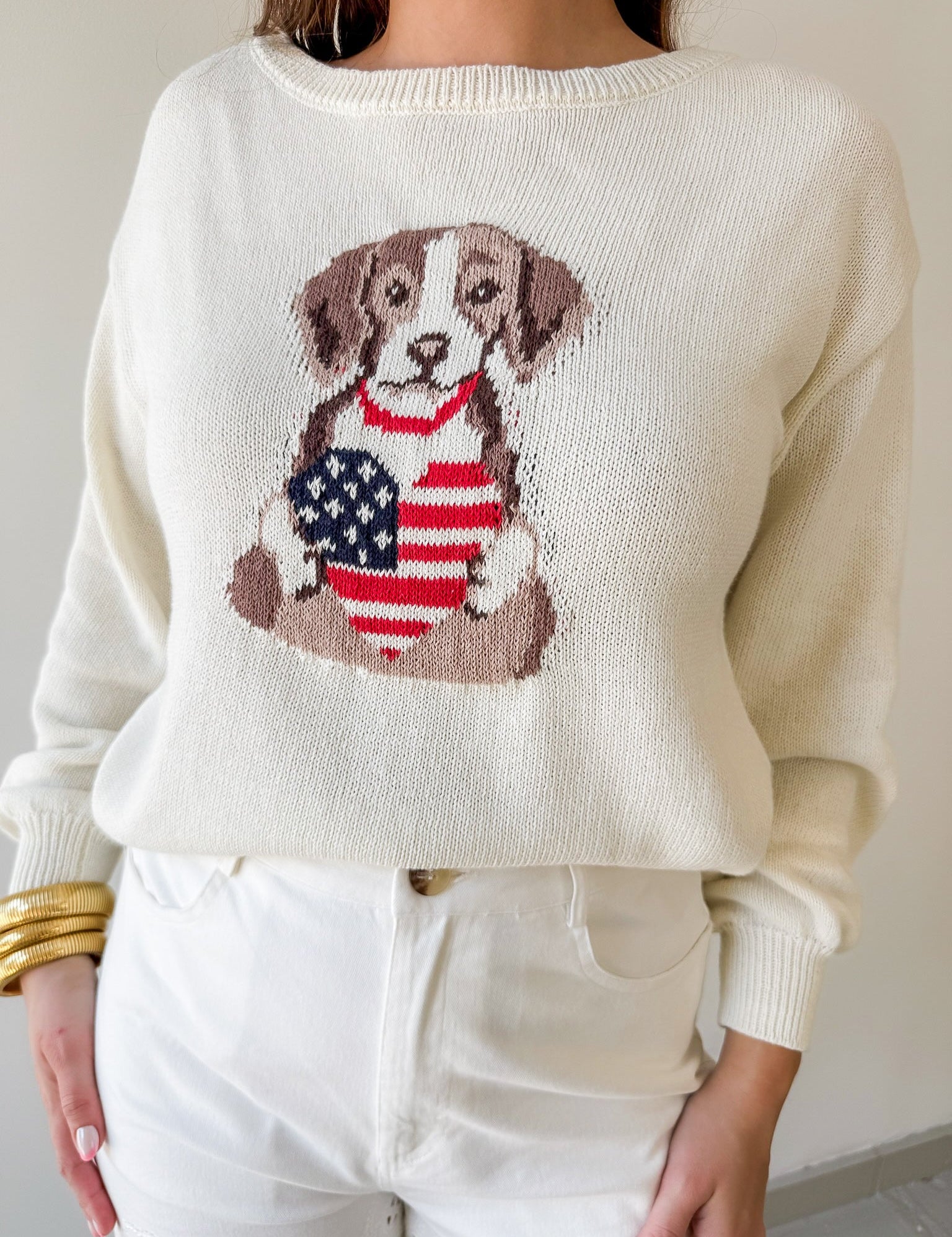 American Heart Puppy Jacquard Sweater