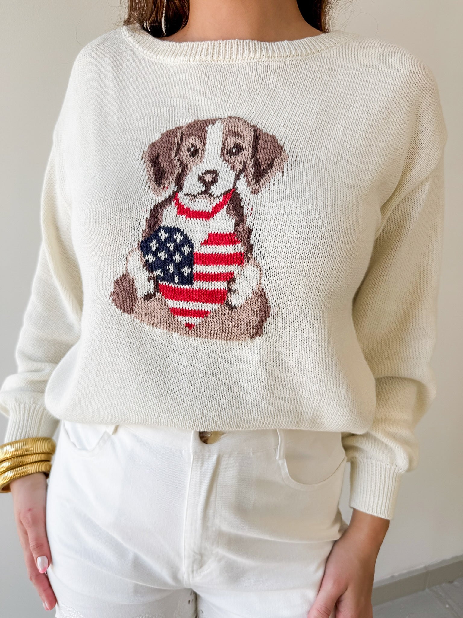 American Heart Puppy Jacquard Sweater