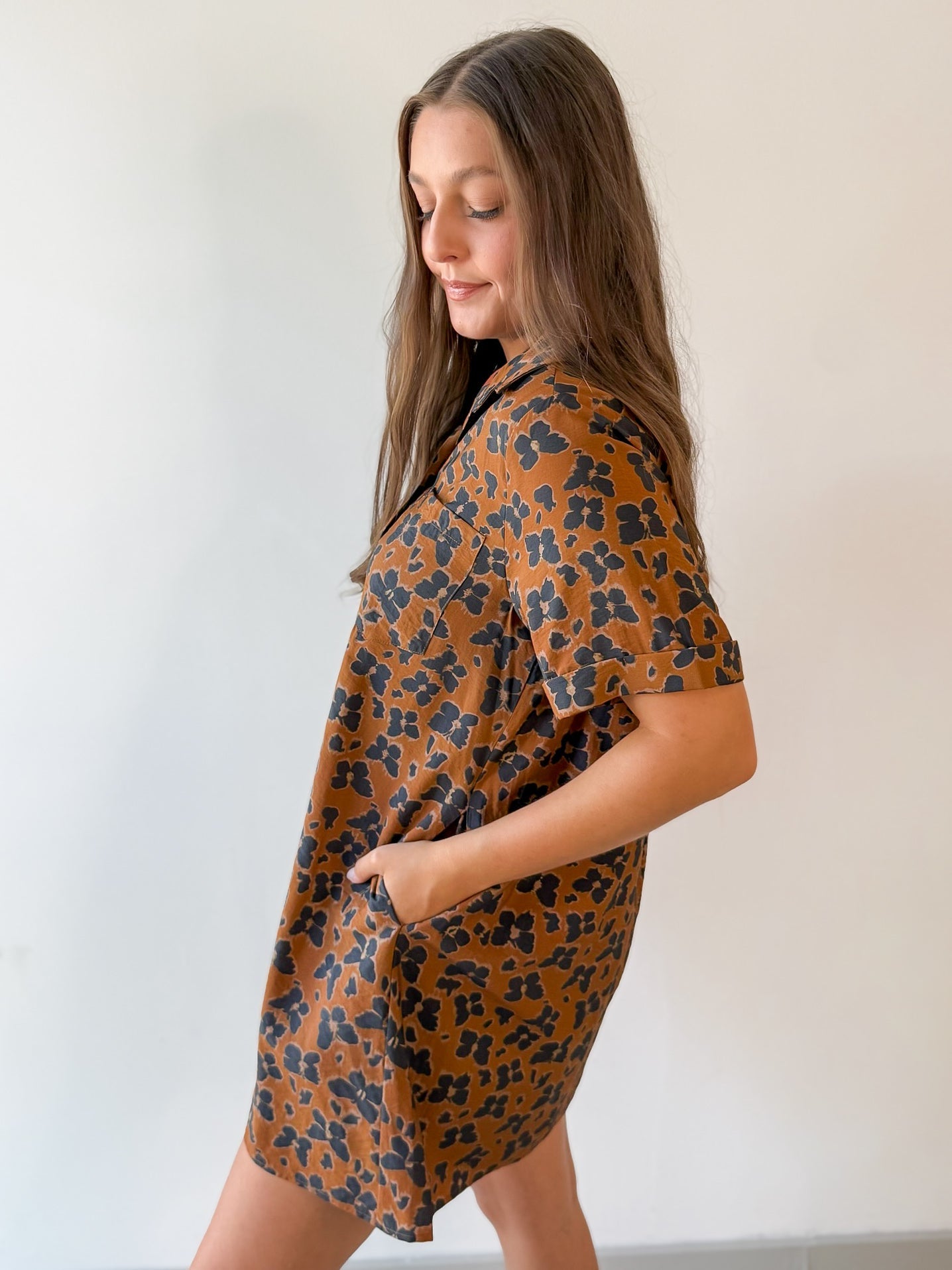 Butterfly Print Shirt Dress - Brown
