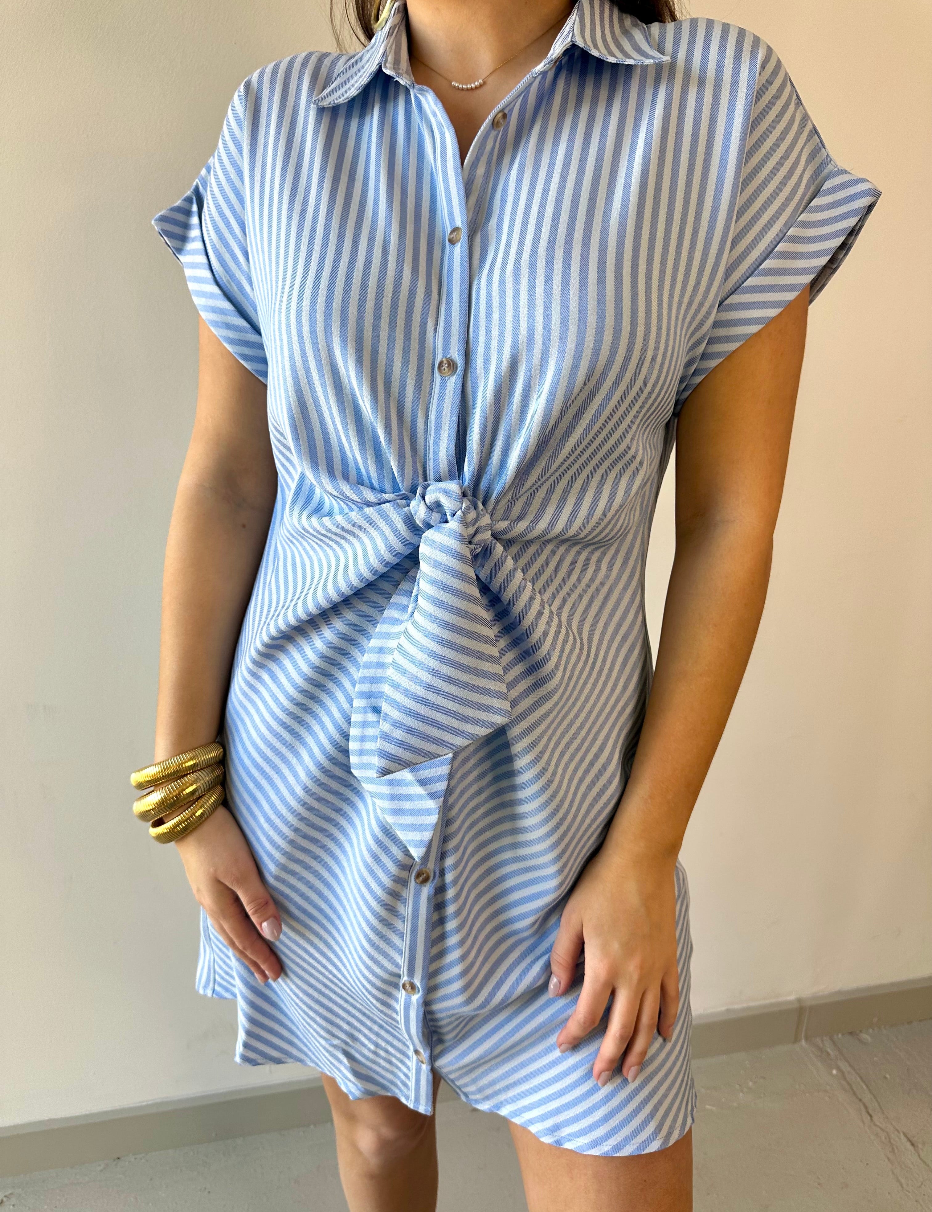 Classic with a Twist Dress