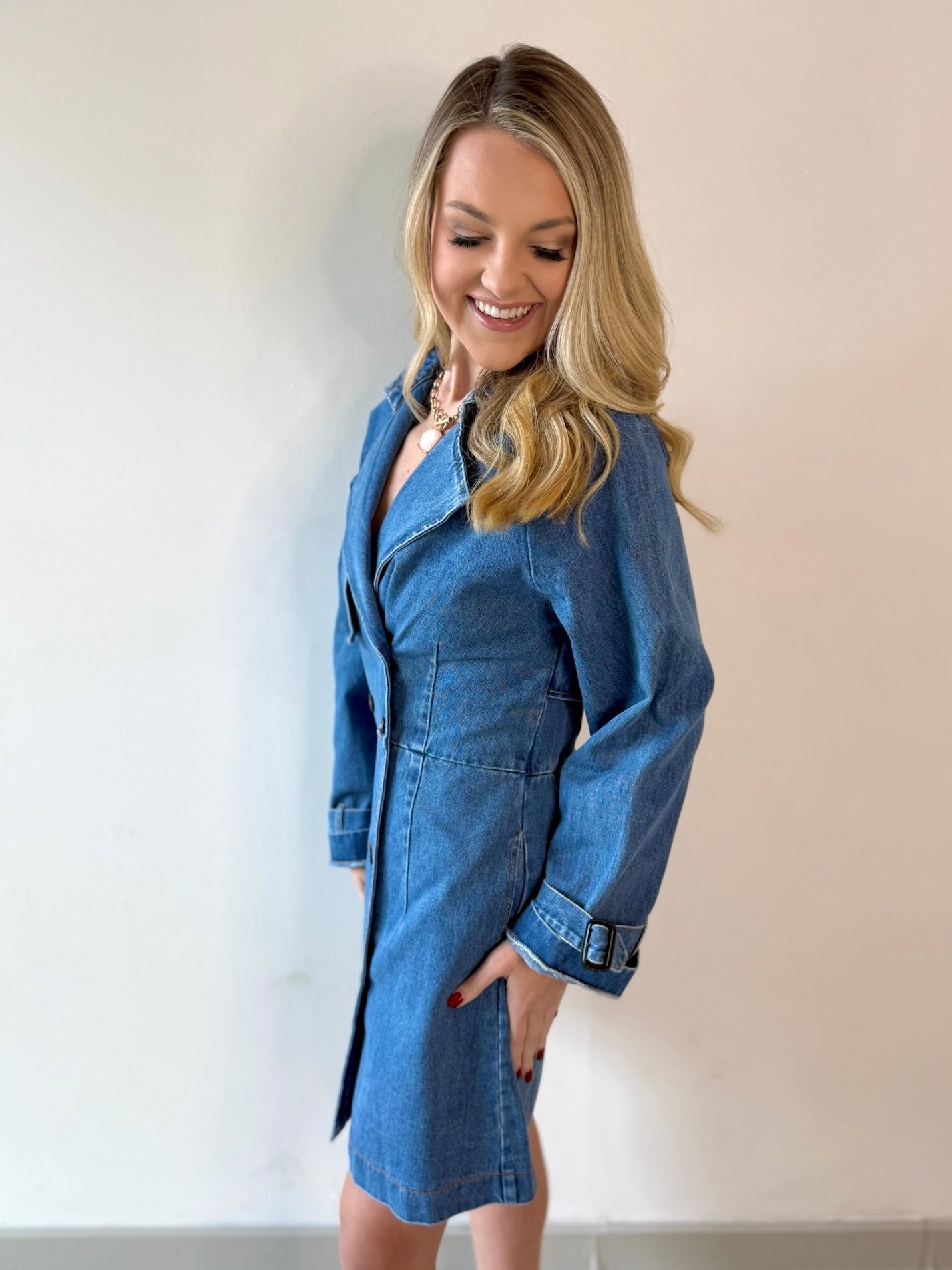 Denim Trench Mini Dress