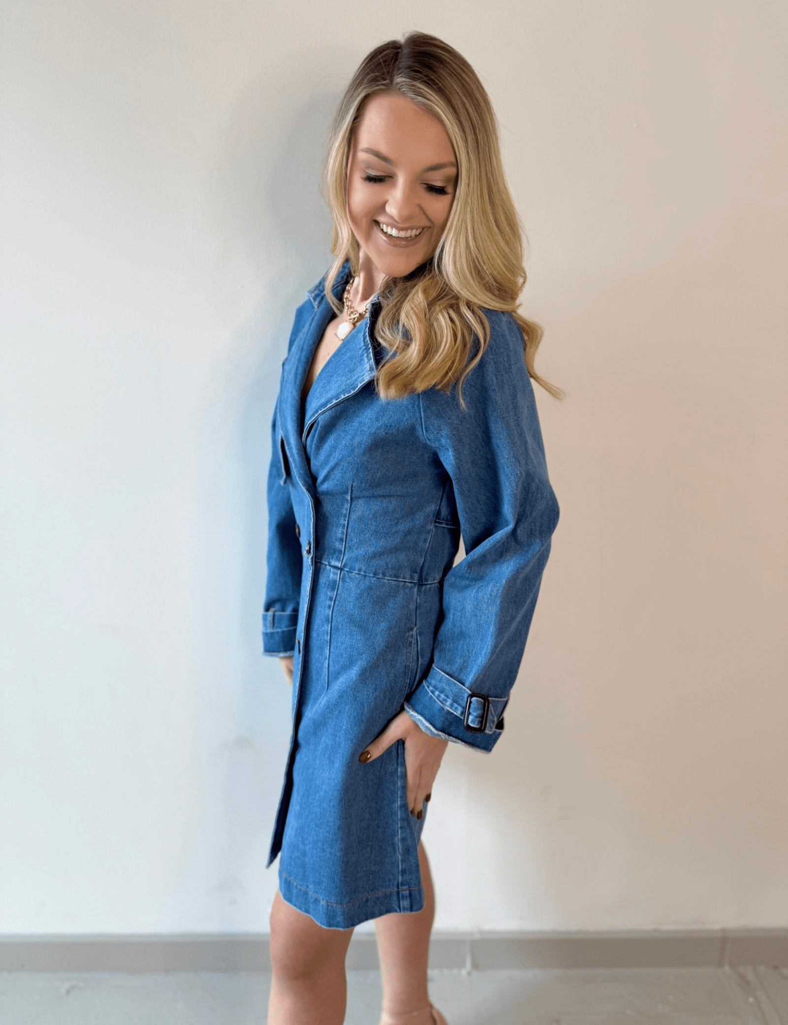Denim Trench Mini Dress