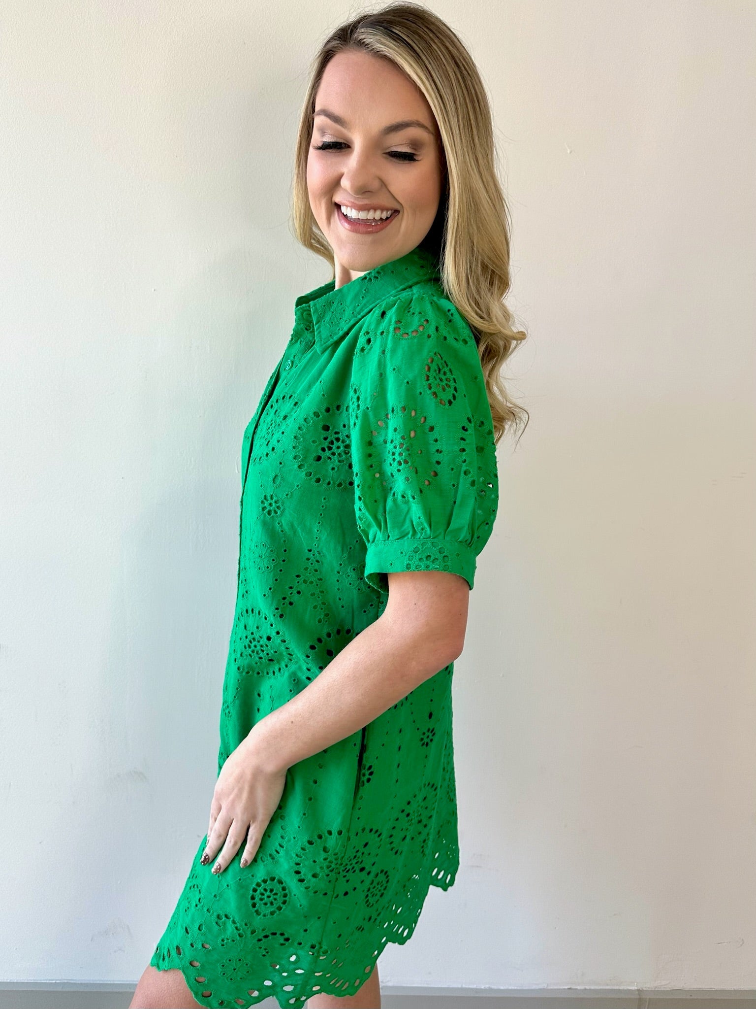 Eyelet Button Down Puff Sleeve Dress