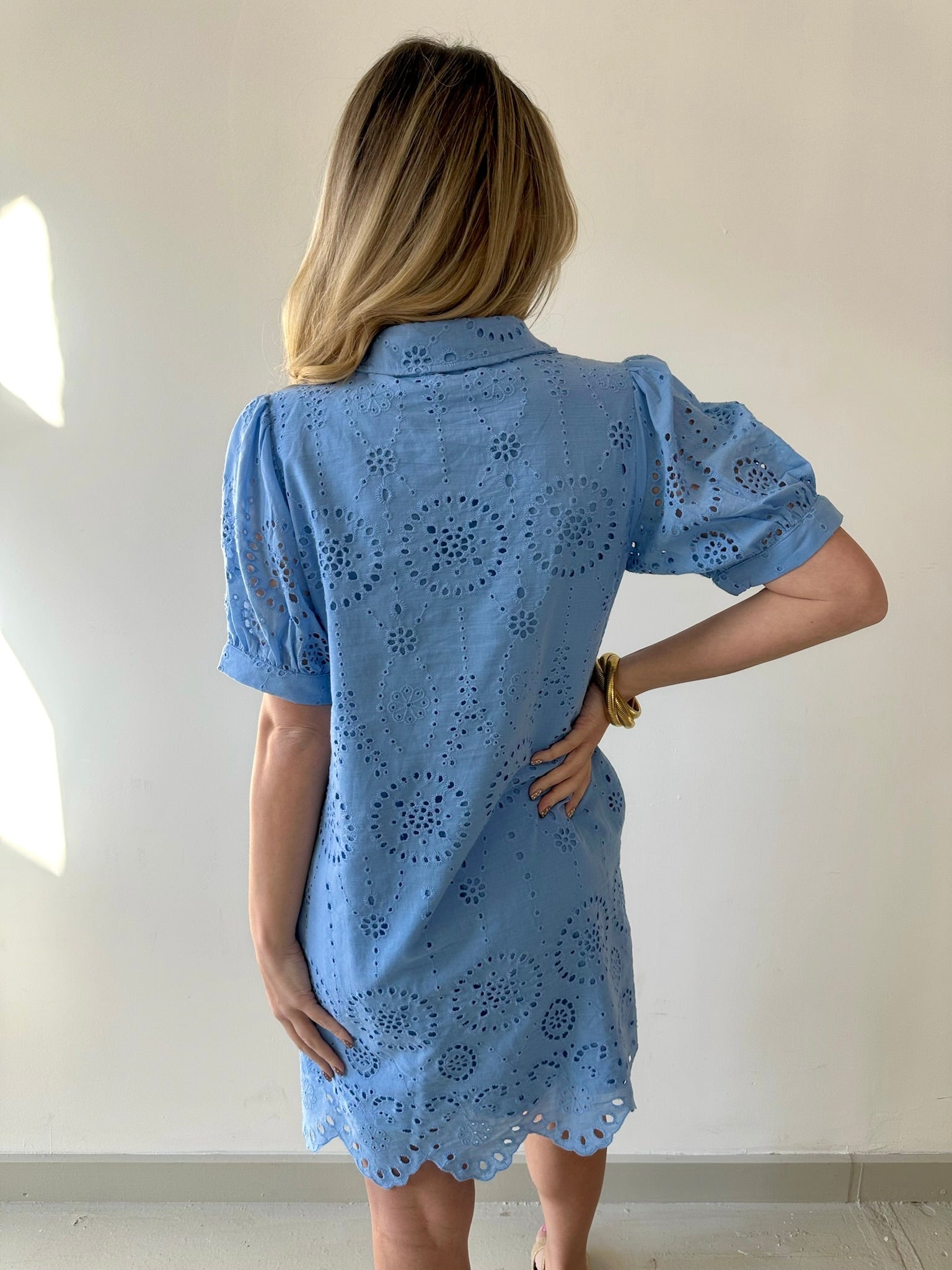 Eyelet Button Down Puff Sleeve Dress