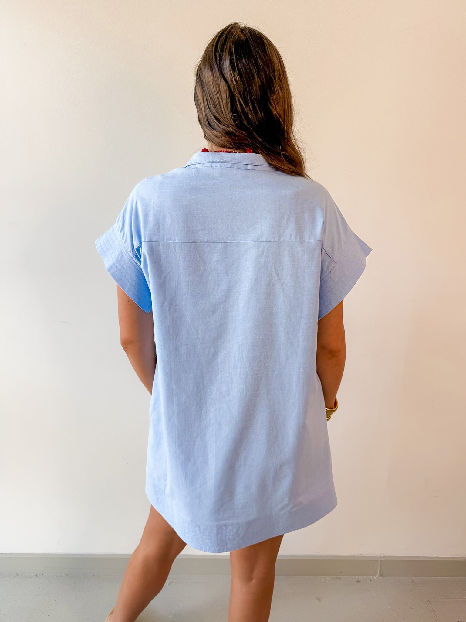 Hidden Button Placket Dress - Chambray