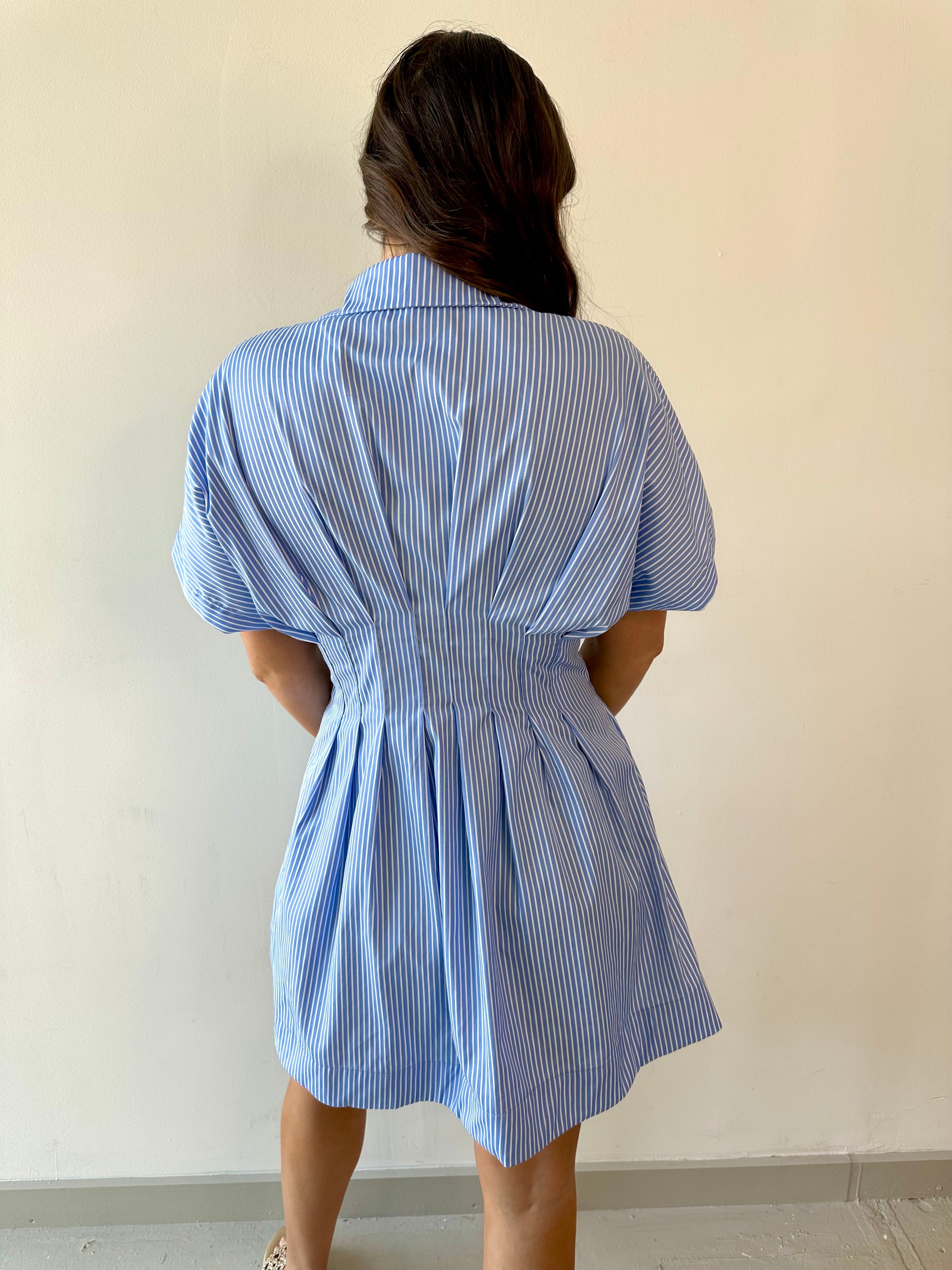 Pleated Stripe Dress - Blue