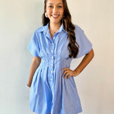 Pleated Stripe Dress - Blue