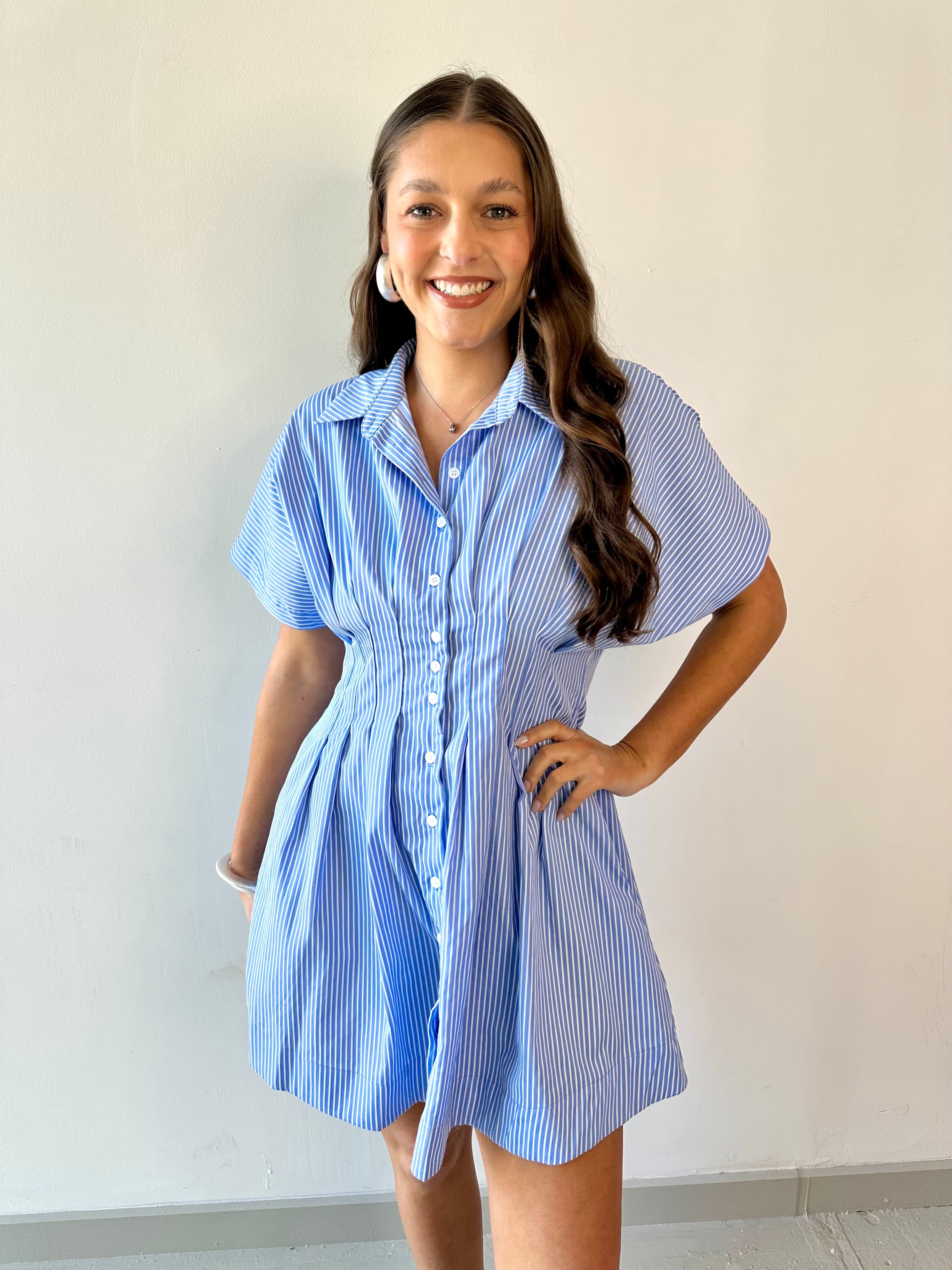Pleated Stripe Dress - Blue