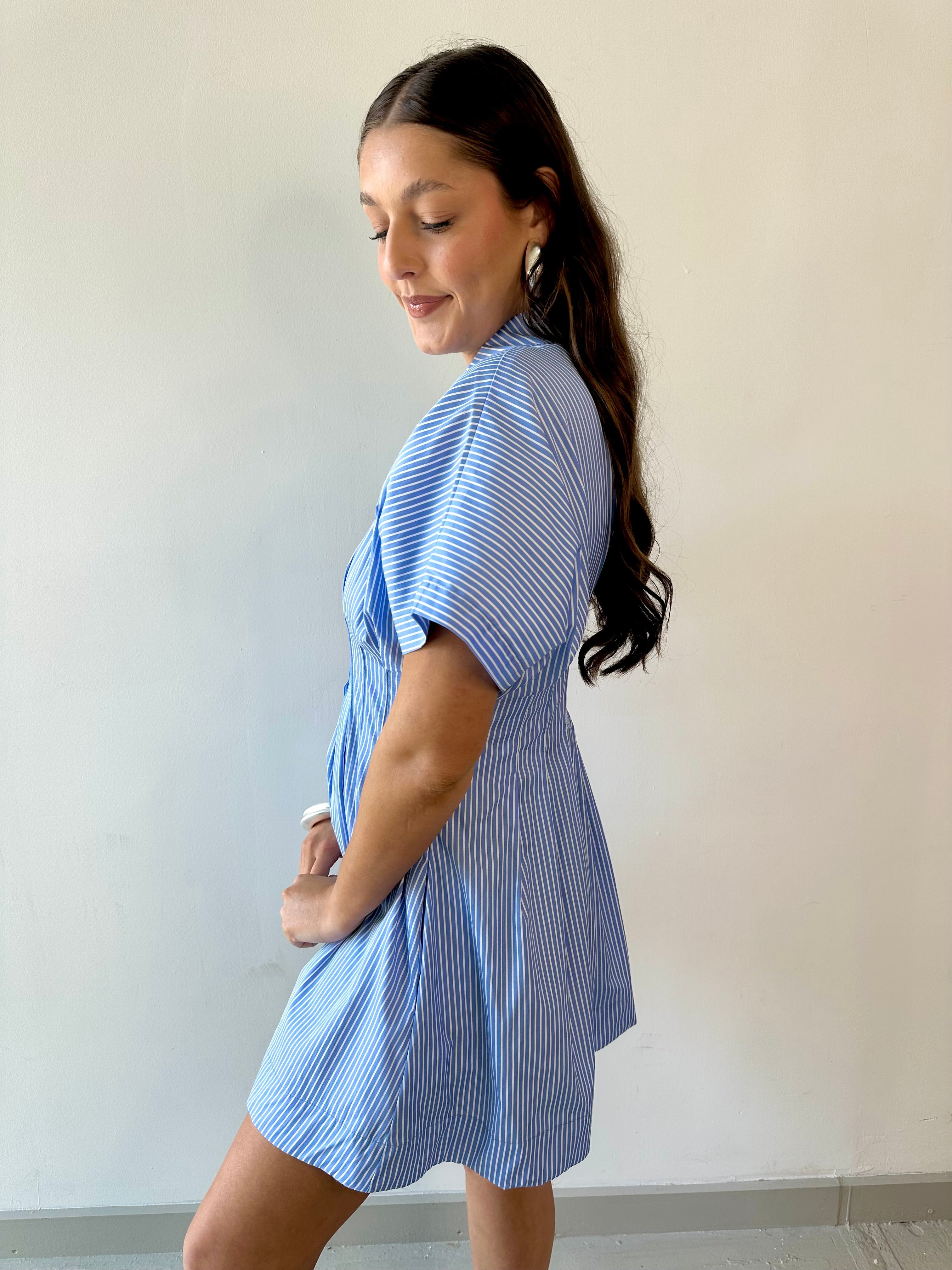 Pleated Stripe Dress - Blue