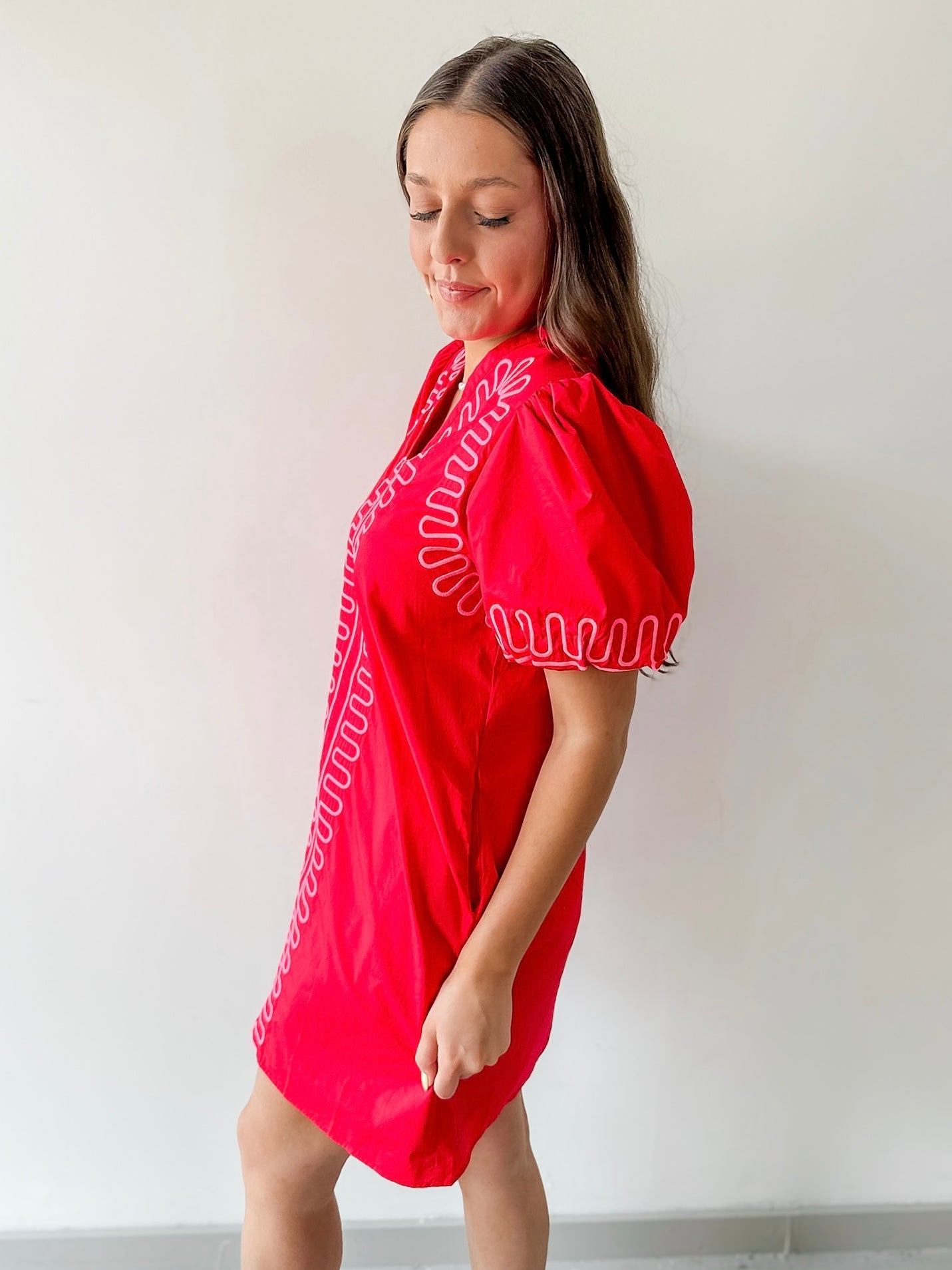 Puff Sleeves Embroidered Shift Dress