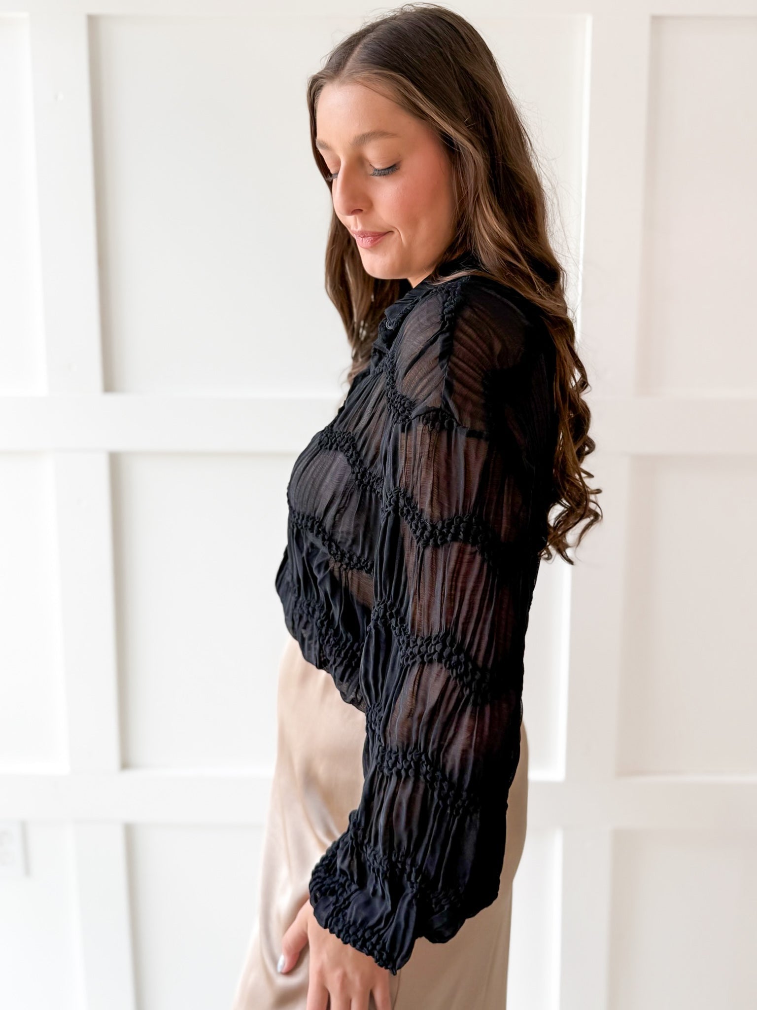 Romantic Sheer Textured Blouse- Black