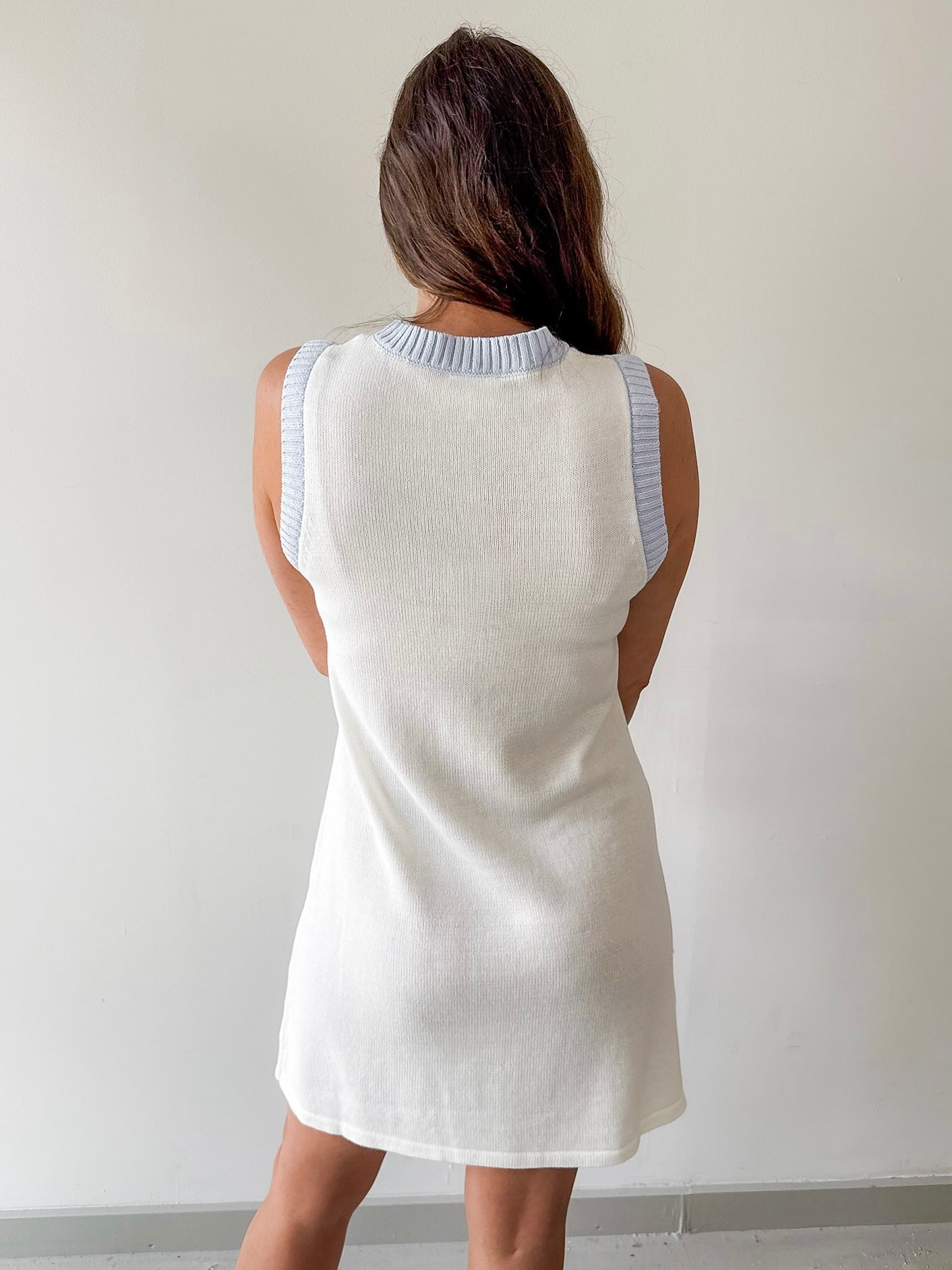 Sardine Embroidered Knit Dress