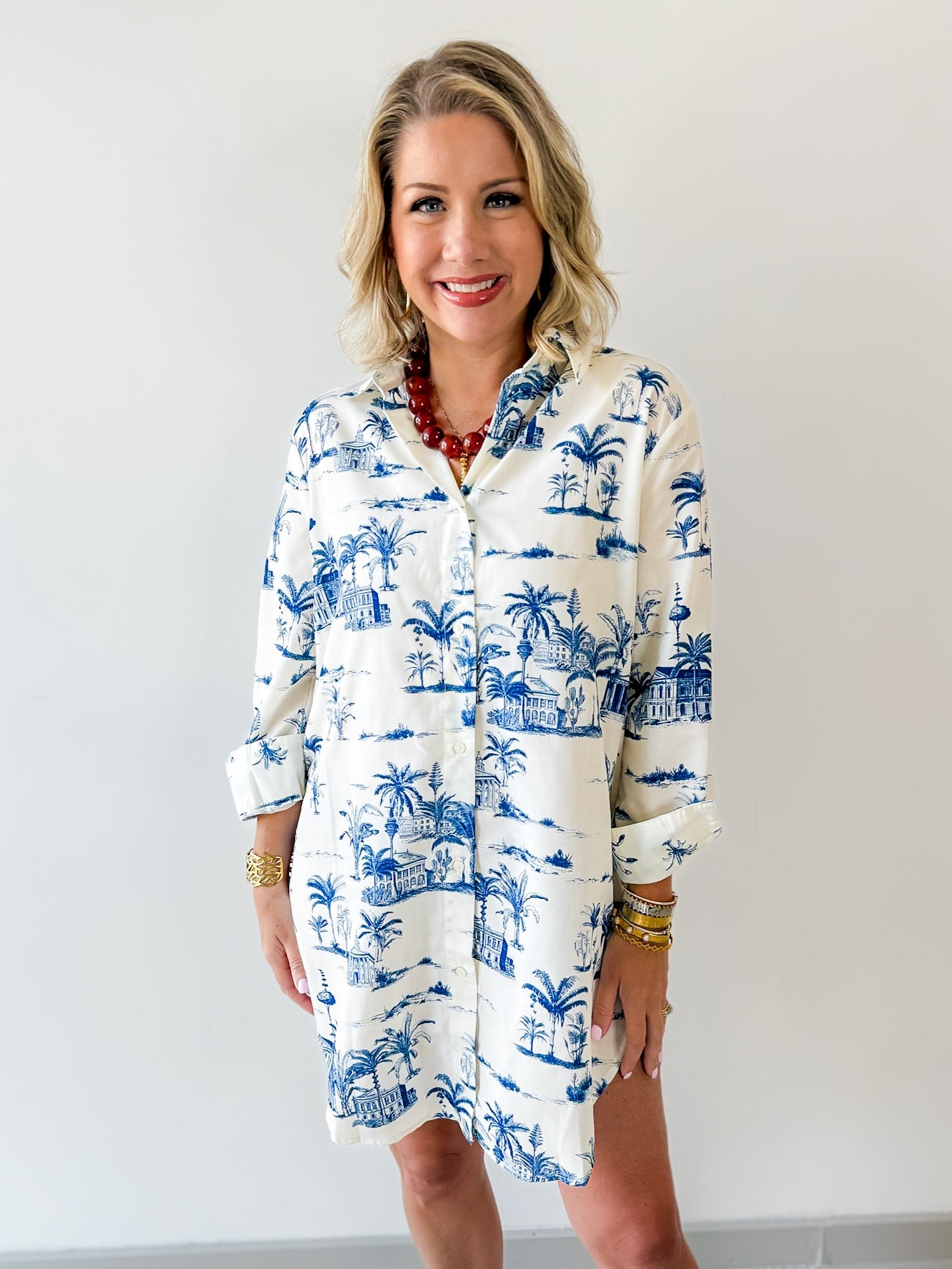 Scenic Toile Shirt Dress