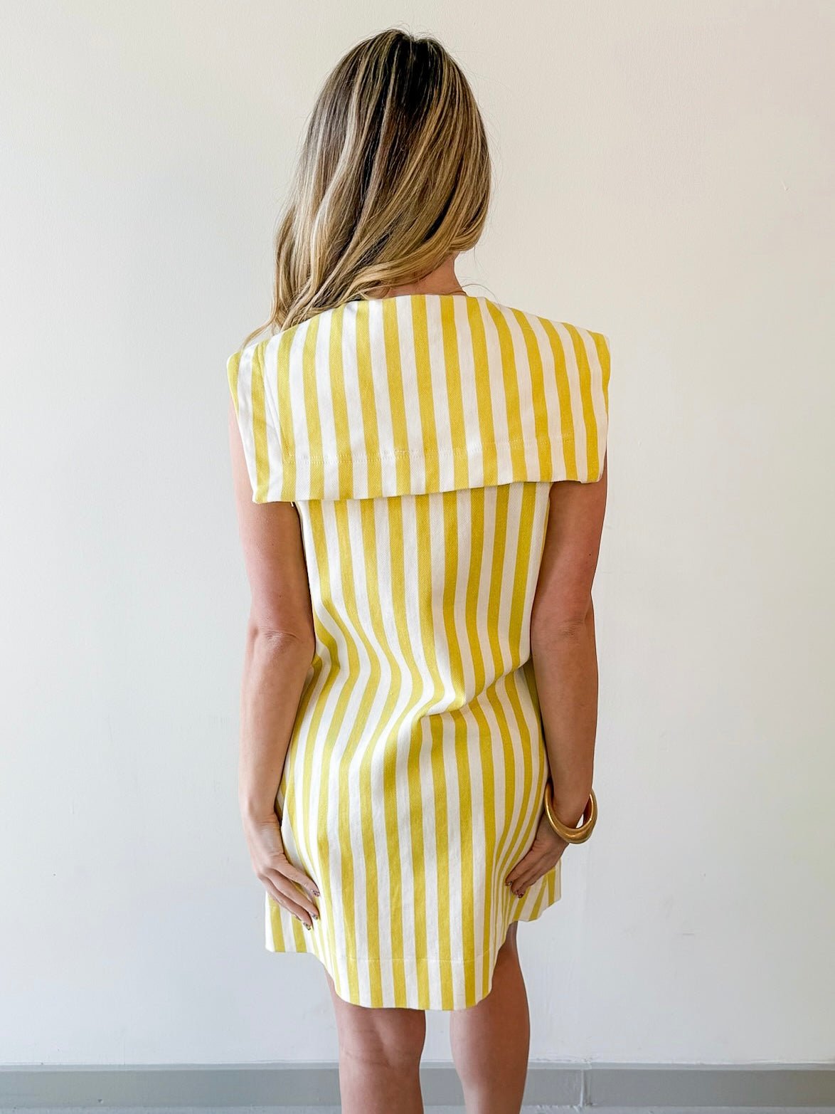 Sophia Mini Dress