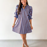 Striped 3/4 Puff Sleeve Mini Dress - Brown