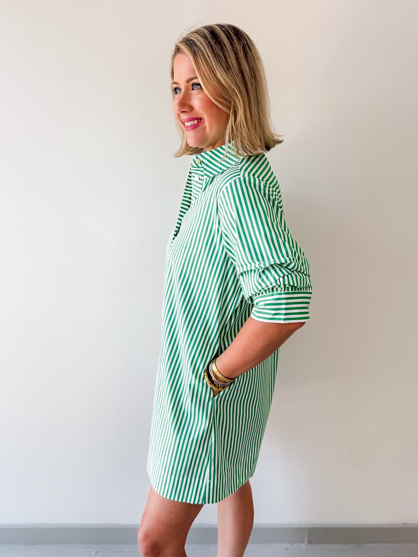 Striped Collared Mini Dress