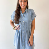 Waist Defining Pleated Dress - Light