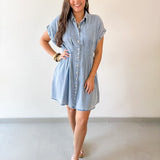 Waist Defining Pleated Dress - Light