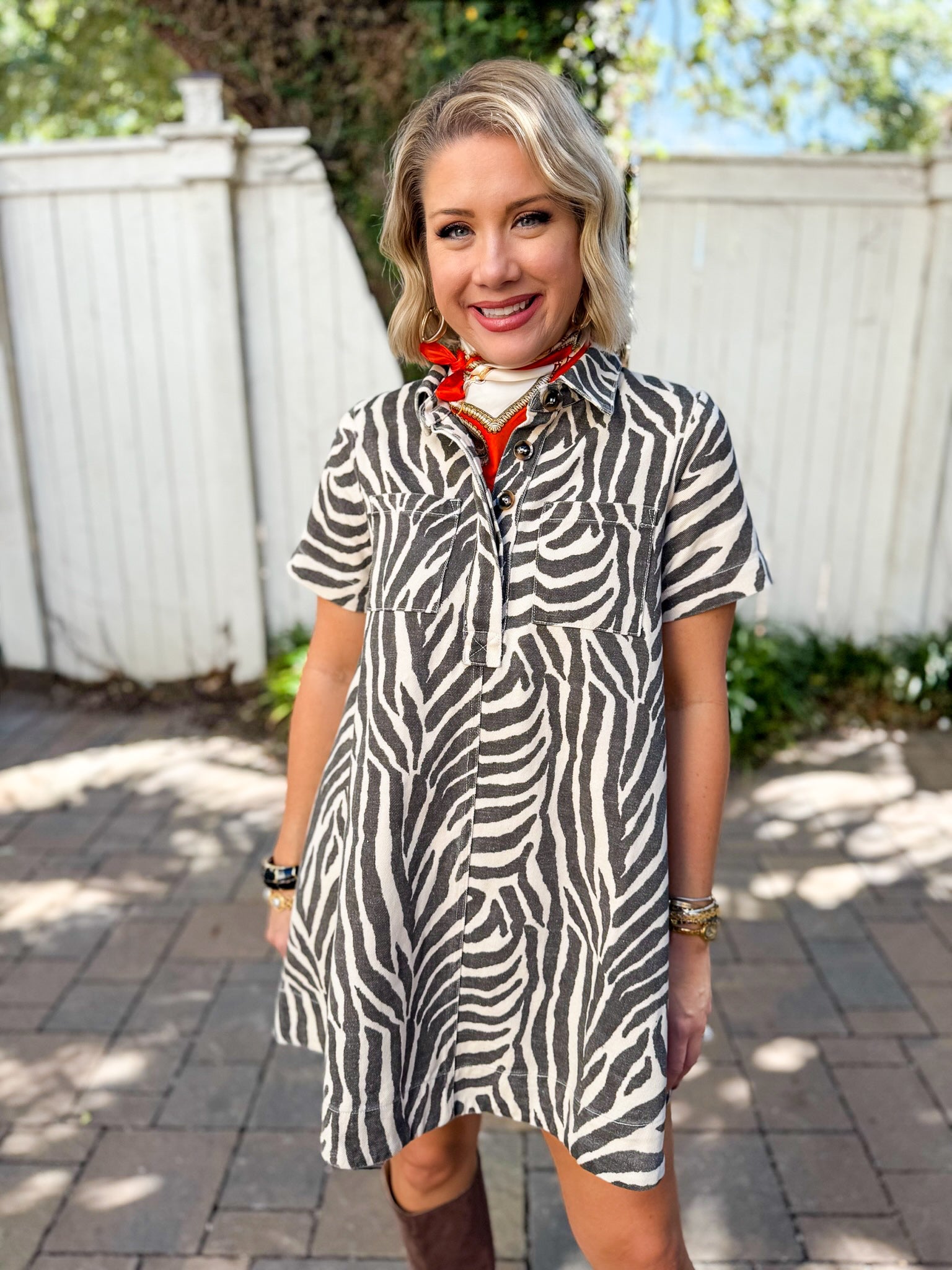 Zebra Print Collared Mini Dress