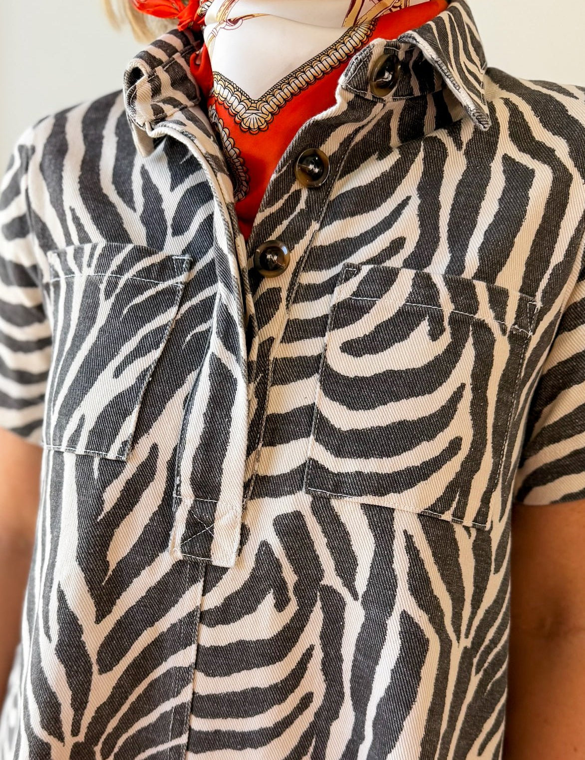 Zebra Print Collared Mini Dress