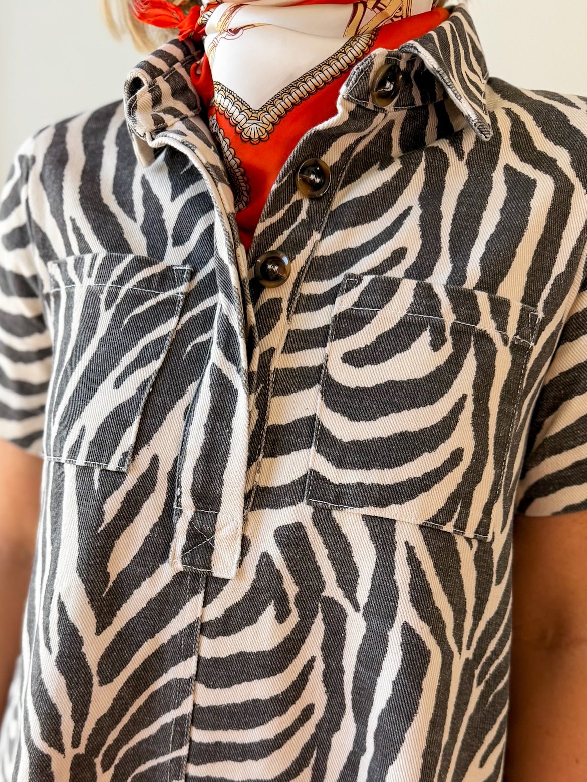 Zebra Print Collared Mini Dress