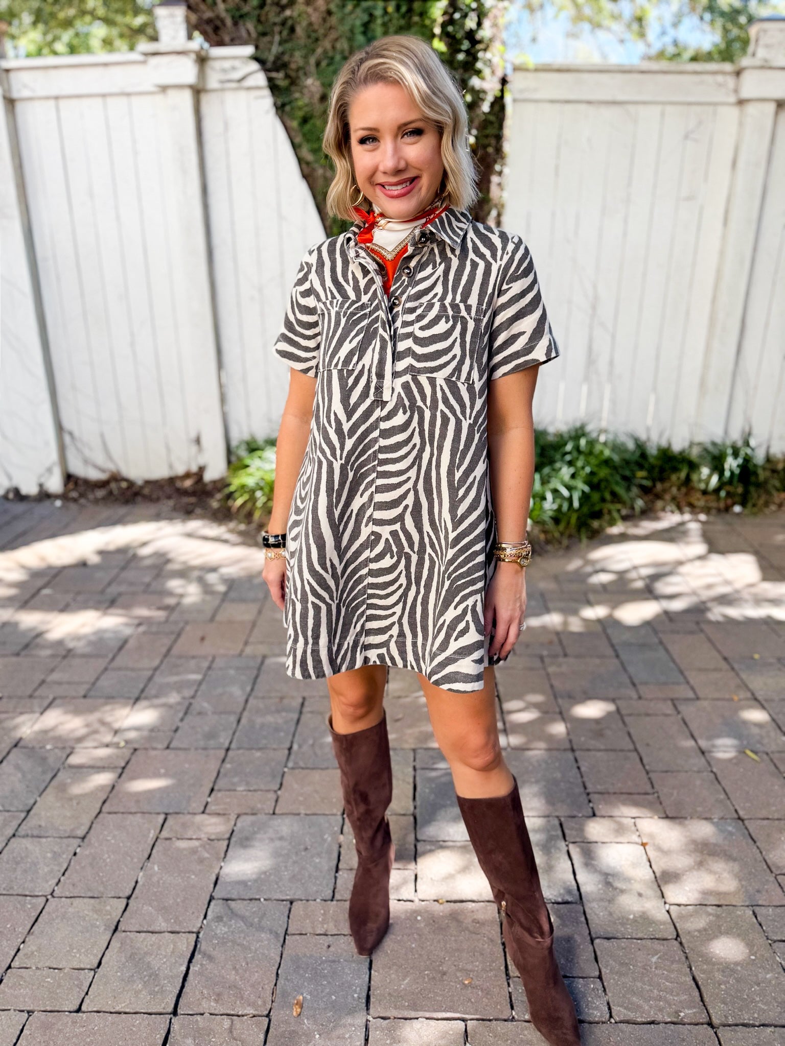 Zebra Print Collared Mini Dress